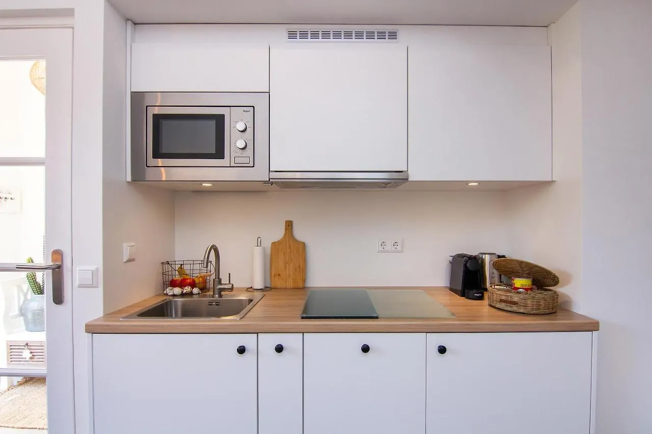 Coast Guesthouse 잔드보르트 아파트
